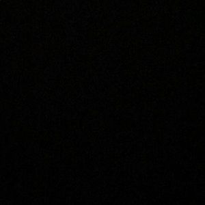 Meet your Posher, Daniela